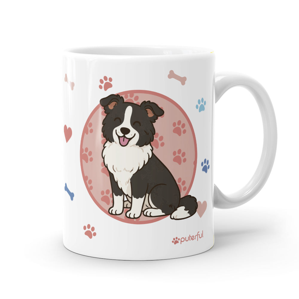 Taza – Border Collie