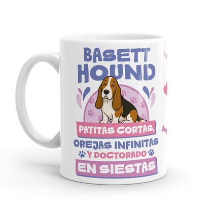 Taza – Basett Hound