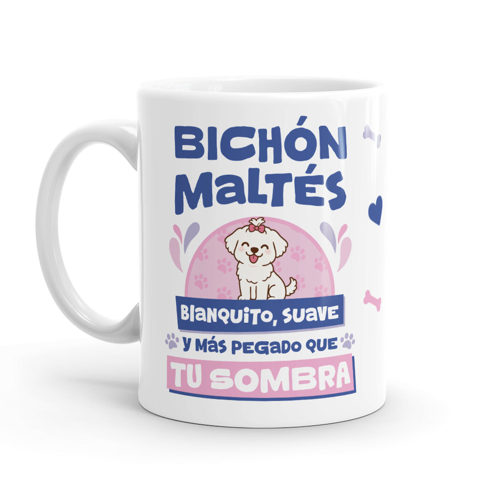 Taza – Bichón maltés