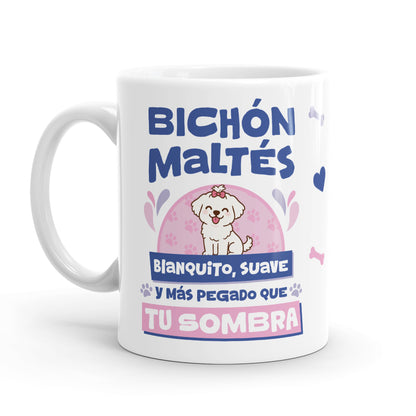 Taza – Bichón maltés