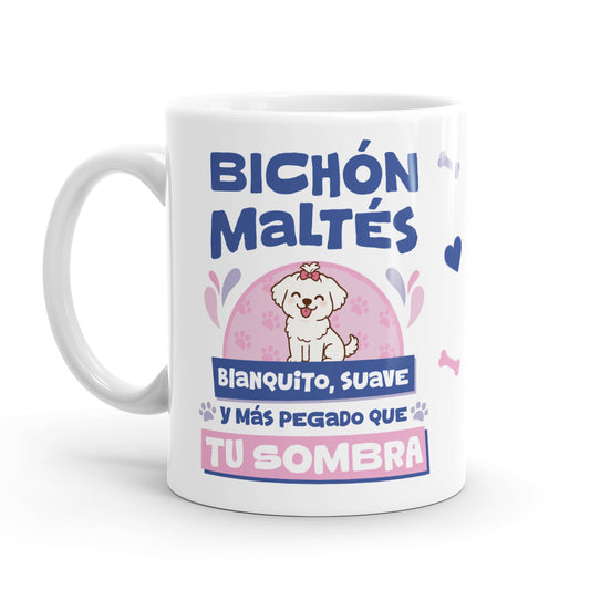 Taza – Bichón maltés