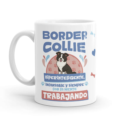 Taza – Border Collie