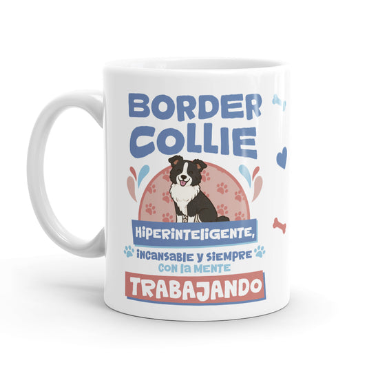 Taza – Border Collie