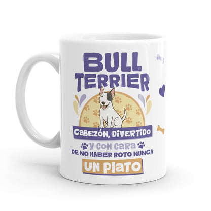 Taza – Bull Terrier