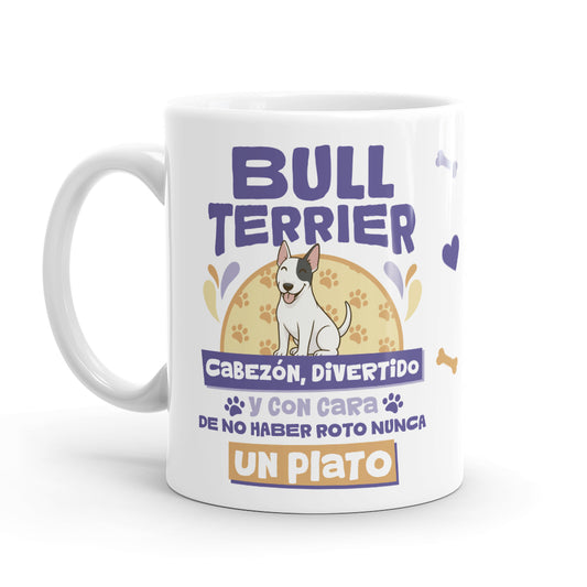 Taza – Bull Terrier
