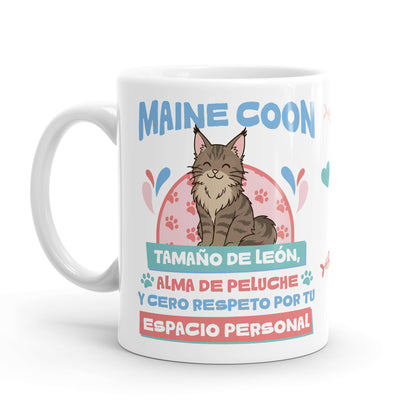 Taza – Gato Maine coon
