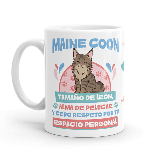 Taza – Maine coon