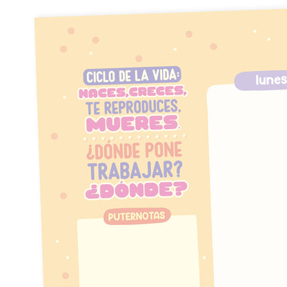 Planificador Apaisado- Ciclo de la vida
