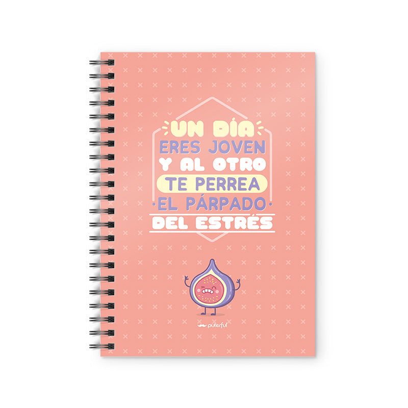 Cuaderno - Un día eres joven