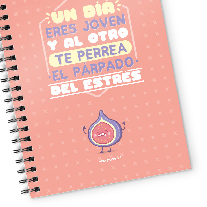 Cuaderno - Un día eres joven