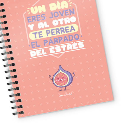 Cuaderno - Un día eres joven